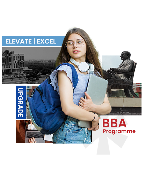 About Online BBA degree programme