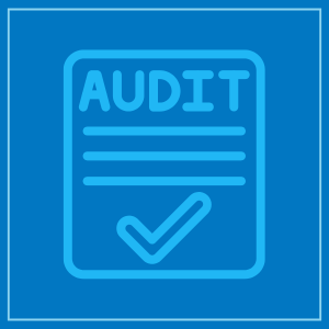 Auditor