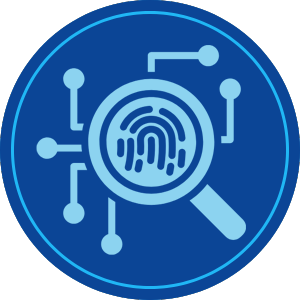 Cyber Forensic Investigator