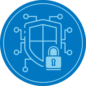 Cyber Security Analyst