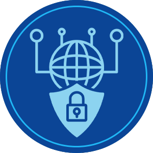 Network Security Engineer